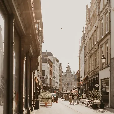 Blue Bird Moriaan Antwerp